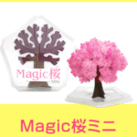マジック桜広告画像